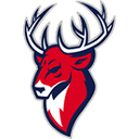 Торпедо Нижний Новгород