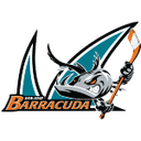 Сан-Хосе Барракуда